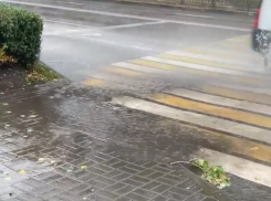Мэру Воронежа указали на несправляющиеся ливневки в период затяжных дождей