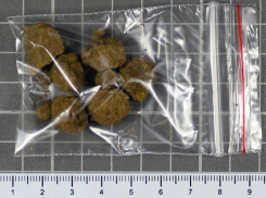 Наркокурьеров задержали на воронежской трассе 