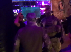 Опубликовано видео облавы силовиков на мигрантов в клубах воронежского Машмета