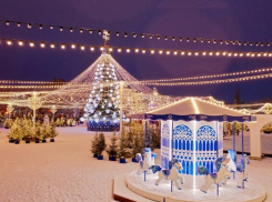 Опубликовано новогоднее расписание работы площади Ленина в Воронеже