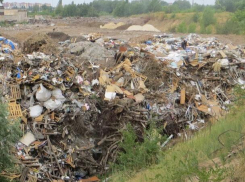 Воронежскому «Ядрово» вынесли приговор в мэрии 