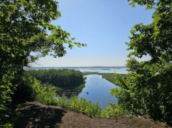 Легендарный Вантит и сливы нечистот: чем является волшебная Нагорная дубрава в Воронеже