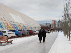 Гуляние по парку превратилось для воронежцев в квест из-за обледенелых дорог
