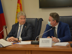 Как бездарно потратить полмиллиона рублей под Новый год, придумали депутаты в Воронеже