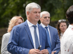 Решение губернатора: майские праздники в Воронежской области не будут продлены до 10 числа