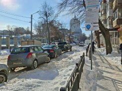 «Считаю, что справляются»: мэр Воронежа оценил уборку платных парковок от снега 