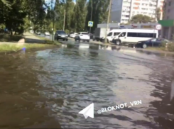 Маленькое «море» образовалось на воронежской улице