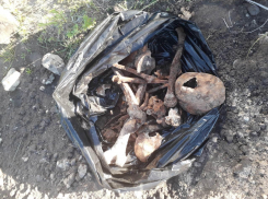 Человеческие скелеты раскопали у закрытого советской властью храма в Воронеже