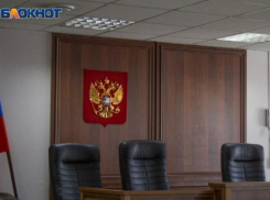 Судье Елене Когтевой сделали дисциплинарное взыскание в Воронеже