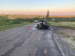 Стали известны подробности жуткого ДТП с пятью погибшими в Воронежской области