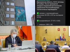 Коронавирус в Воронеже 13 ноября: +312 зараженных, трогательное граффити и коррективы в бюджет региона 