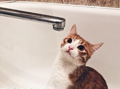 Напоминаем, какие воронежские дома лишатся горячей воды с 11 мая 2021 года 