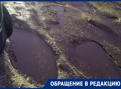 Двор, дырявый, как сыр, и ледяной, как Нифльхейм, показали в Воронеже