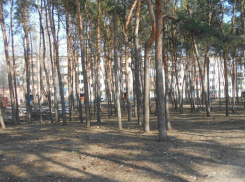 В Воронеже привели в порядок загаженный сквер на Молодогвардейцев