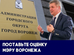 Как мэр Воронежа удержался на посту, несмотря на арест Шевелева : итоги 2017 года