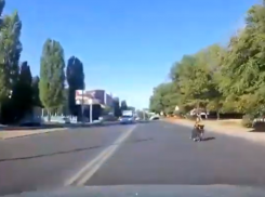 Колясочника застали за странным занятием посреди дороги в Воронеже 