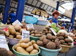 В Воронежскую область с 1 июня не будут ввозить европейский картофель
