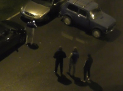Банда из 12 человек заработала на автоподставах более 2 млн рублей в Воронеже