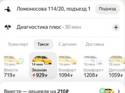 Первый снег принес космические цены на такси в Воронеже