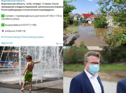 Коронавирус в Воронеже 17 июня: +179 заражений, обезвоженный левый берег и тесты для отпускников