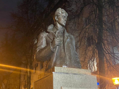 «Белая глава» вместо «златой»: воронежцы требуют отмыть Есенина от голубиных подарков 