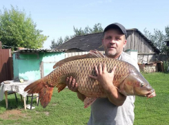 18 килограммовую золотую рыбку поймал житель Воронежской области