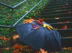 Синоптики рассказали, когда в Воронеже закончится «бабье лето»