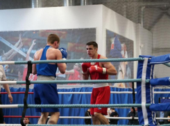 Командир ОМОН дал старт первенству ЦФО по боксу в Воронеже