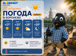 Достаём купальники: прогноз погоды в Воронеже