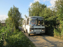 В Воронеже запустили сезонные маршруты 