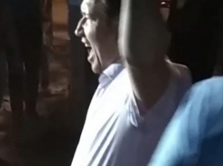 Воронежских эсеров уличили в призывах к горожанам крушить забор в Северном лесу