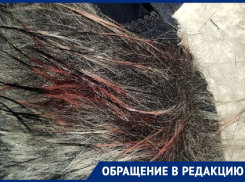 «Душил моим же капюшоном»: жительница Воронежа рассказала о нападении «человека в камуфляже»