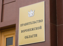 Воронежское правительство: контакт с силовыми структурами поддерживается в режиме онлайн