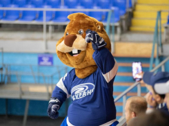 «Буран» заиграл: яркое начало сезона принесло Воронежу две хоккейных победы 