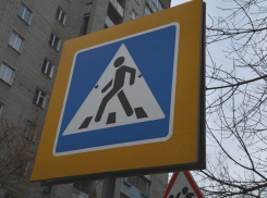 Воронежец сбил на «зебре» женщину с 5-летним ребенком