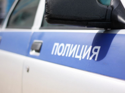 В Воронеже разыскали 3-летнюю девочку, которая вышла играть с собакой и заблудилась