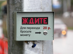 В Воронеже издевательски предложили ввести систему платных пешеходных переходов
