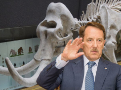 Кости и бивни мамонтов пополнят казну России с подачи Гордеева