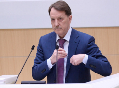 Главный единоросс Госдумы сообщил, где Алексей Гордеев отсидится до пенсии