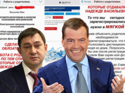 В детсадах и школах Воронежа родителей загоняют в глобальные онлайн-списки «Единой России» 