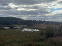 О покушении на очередное уникальное озеро сообщили в воронежском минприроды