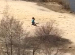 Нападение кровожадного стаффорда сняли на видео в Воронеже