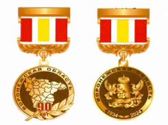 Новая медаль «90 лет Воронежской области» не будет наградой Воронежской области