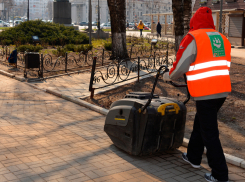 Тротуары воронежских улиц начали подметать машины-пылесосы