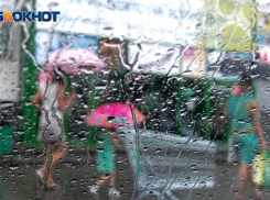 Погода в Воронеже на три дня 