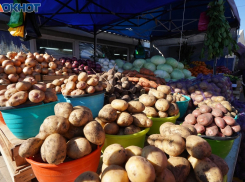 Почему бешеный рост цен на продукты сбавил обороты в Воронежской области