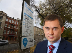 Спикер облДумы Нетесов узнал о прелестях платных парковок спустя месяц
