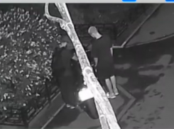 Серию гадких поступков совершили воронежские вандалы