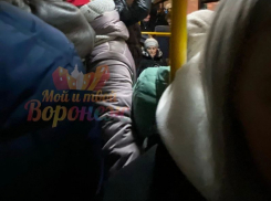 О пытке в маршрутке при 8-балльных пробках рассказали воронежцы