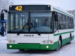 Куда делся?: Воронежцы «потеряли» автобус №42 